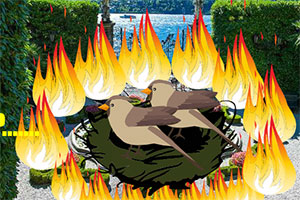 ���ڻ�԰�����