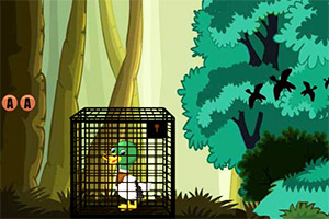 ������СѼ�Ӿ�Ԯ