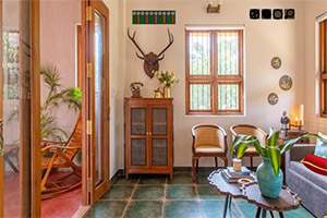 ����ʯ��������