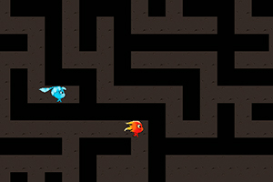 ���޻���˫���Թ�