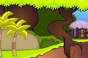 Ӫ�ȱ�������