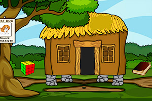 ���л𼦴�����