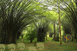 ��Ԯ��˯����è