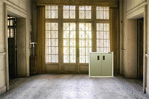 ��Ԯ���صĶ�ʿ