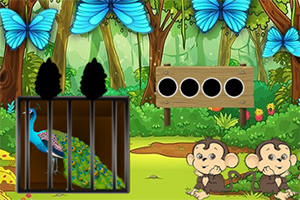 ��Ԯ�����Ŀ�ȸ