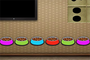 ��ԮС�����