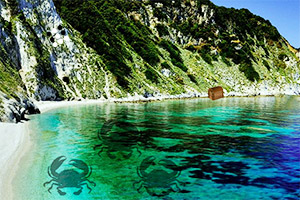 ��ľ������С��