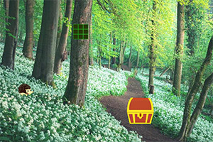 ����ïʢ�Ĵ���