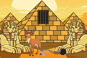 С¹����ɳĮ