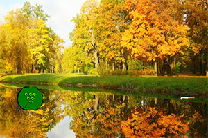 �����۷�����