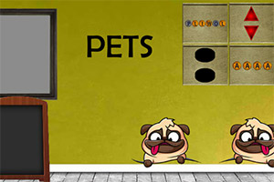 ɳƤ������