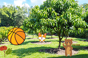 ����â��ũ��