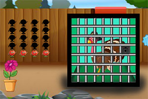 ��Ԯ����������