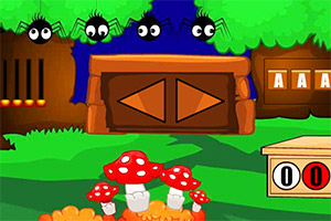 ������������