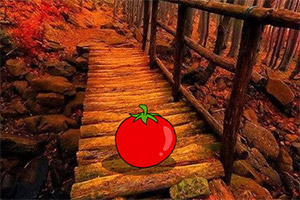 ��ʧ�ĸж��ڻ���