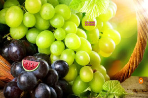 ������ѰŮ��