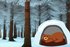 Ѱ���ܵ�����