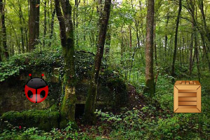 Ӫ�ȱ��˵��ϻ�