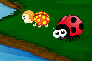 ��ԮС���ӵ�����