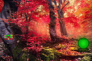 ����ʧɢ����