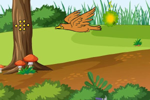 �����޹���Сӥ