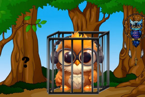 èͷӥ��������