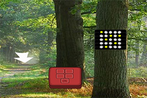 ���������ɭ��