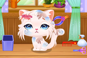 ���������24