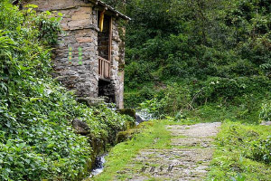 ��ѻ����