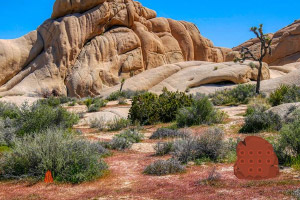 ɳĮ�ȼ�������