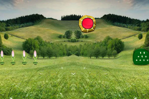 ����С��ѰŮ��