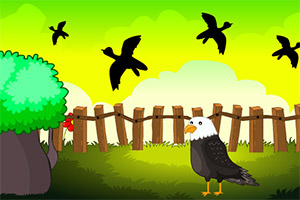 ��Ԯ��ð�յĹ���