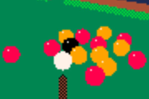 ���ذ���