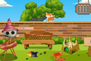 �����к���Ԯ