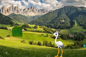 �׺�Ѱ����