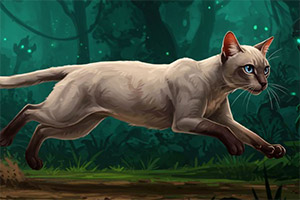 ��Ԯ������Сè