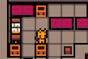 �����ӵ�è