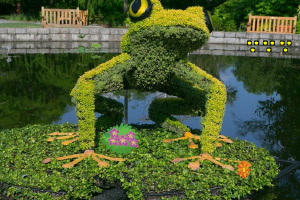 �к�Ѱ�����г�