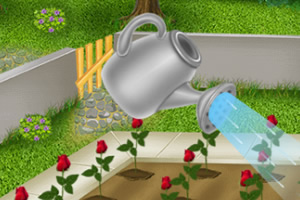 ����������ֳ