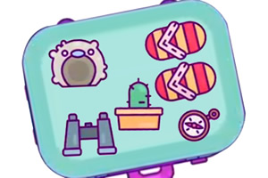 ��Ʒ�ڷŴ�ʦ