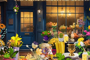 Ư���Ļ���