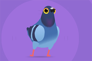 ���ĸ���