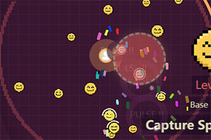 ���鲶׽��