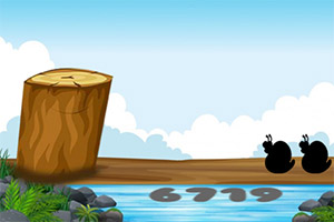 �������